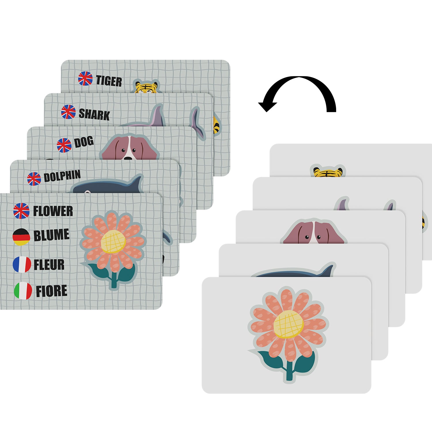 Mit den inkludierten Wortkarten üben ältere Kids zu buchstabieren und lernen Wörter kennen.