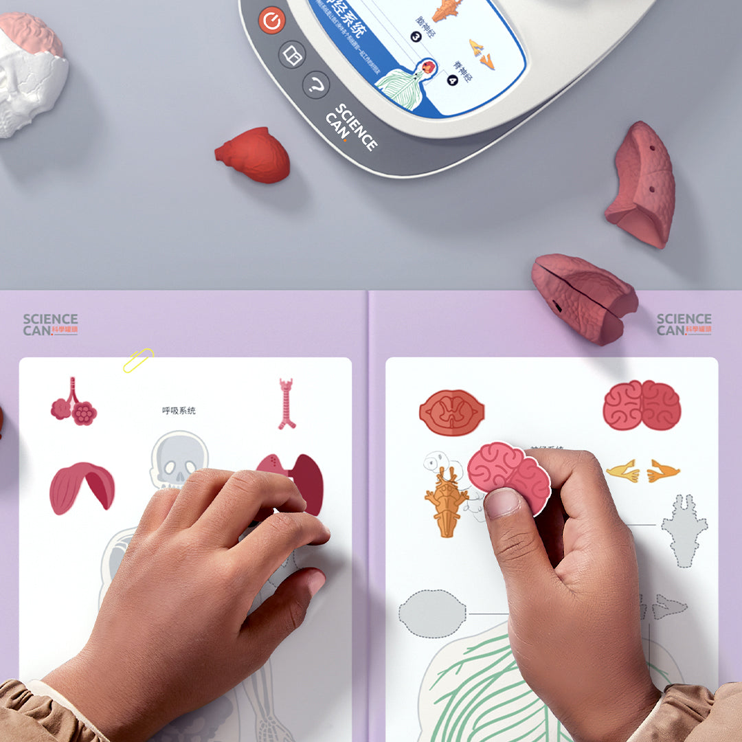 In der ausführlichen Anleitung finden die Kinder außerdem weitere Informationen, spannende Illustrationen und coole Sticker.