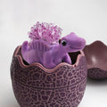 CRYSTAL DINOSAUR EGGS - DISPLAY (12 PCS.)