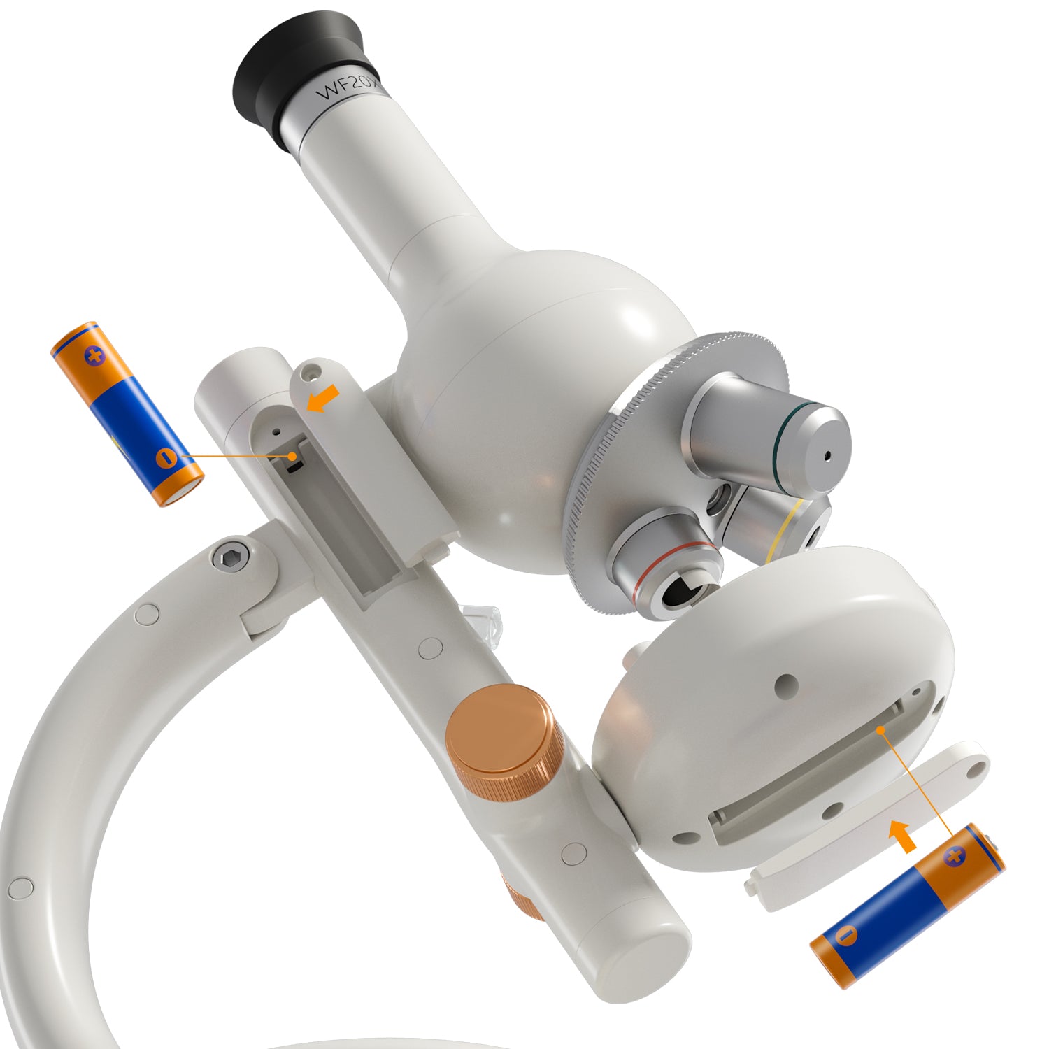 For full insight with epi- and transillumination, simply insert batteries and kids will see everything.