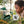 INSEKTEN & WASSERWELT ENTDECKER SET