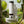 MICROSCOPE 250 EXPLORER SET