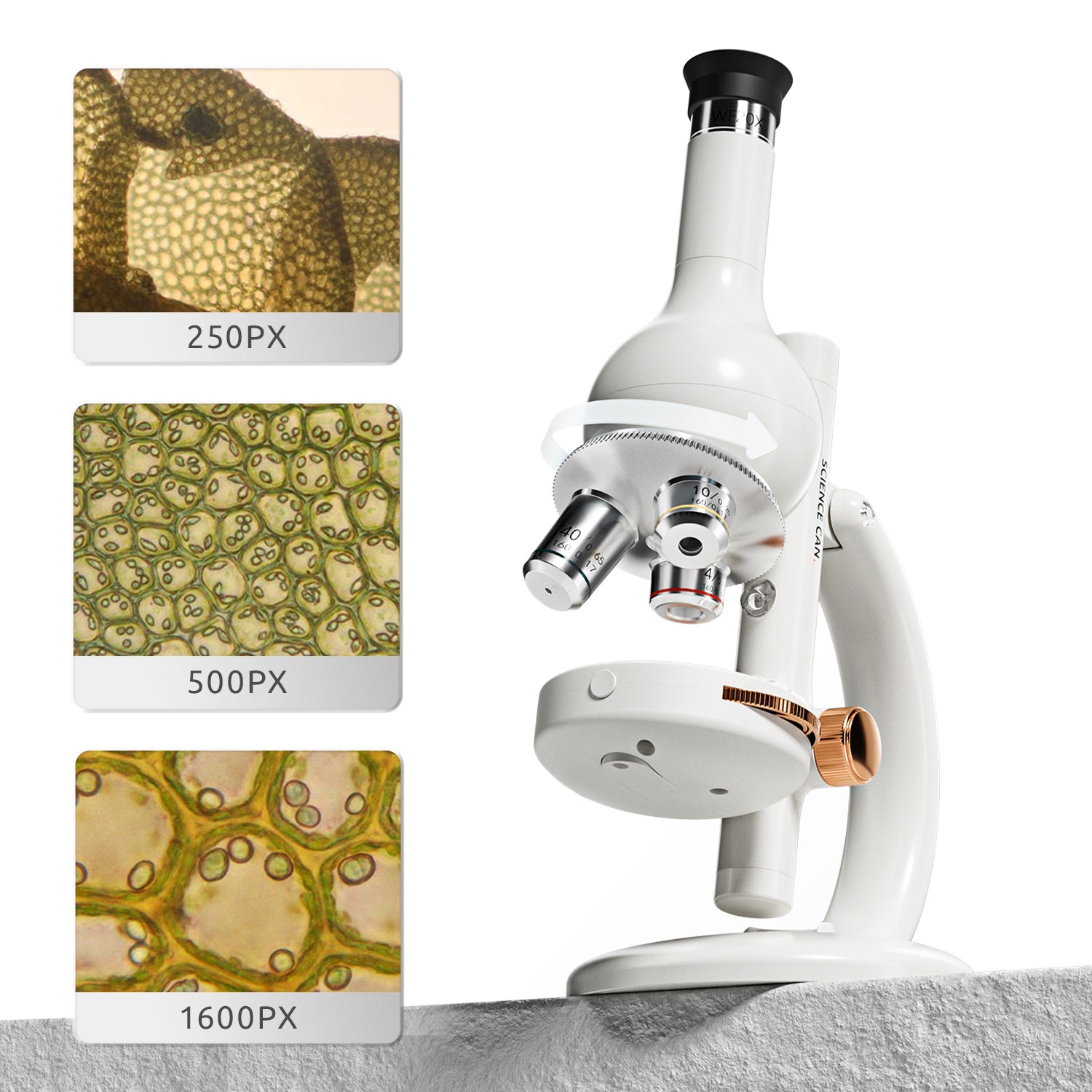 The set includes high-quality experimental equipment including 3 eyepieces.