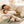 SLEEPWELL WHALE