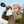 TELESKOP ADVENTURE